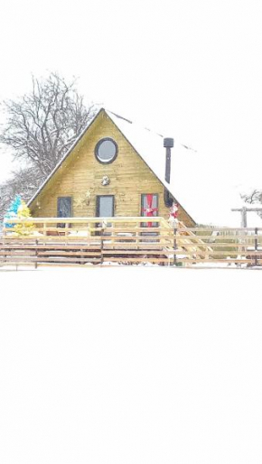 Wooden cottage 